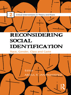 cover image of Reconsidering Social Identification